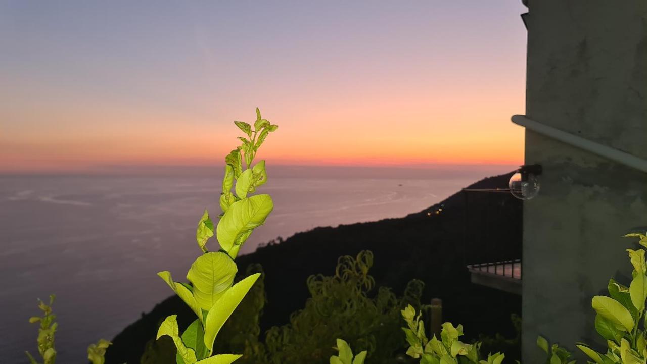 Sunset - Homy 5 Terre Retreat Apartment Biassa Ngoại thất bức ảnh